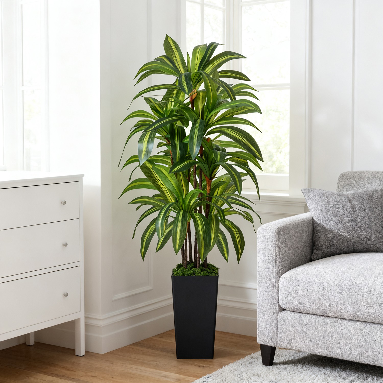 Artificial Dracaena Tree with Lights, 5Ft Fake Plants Black Tall Planter Indoor