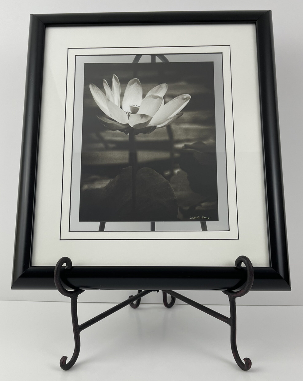 Tangletown Lotus Flower VIII By Debra Van Swearingen Framed Print Wall Art