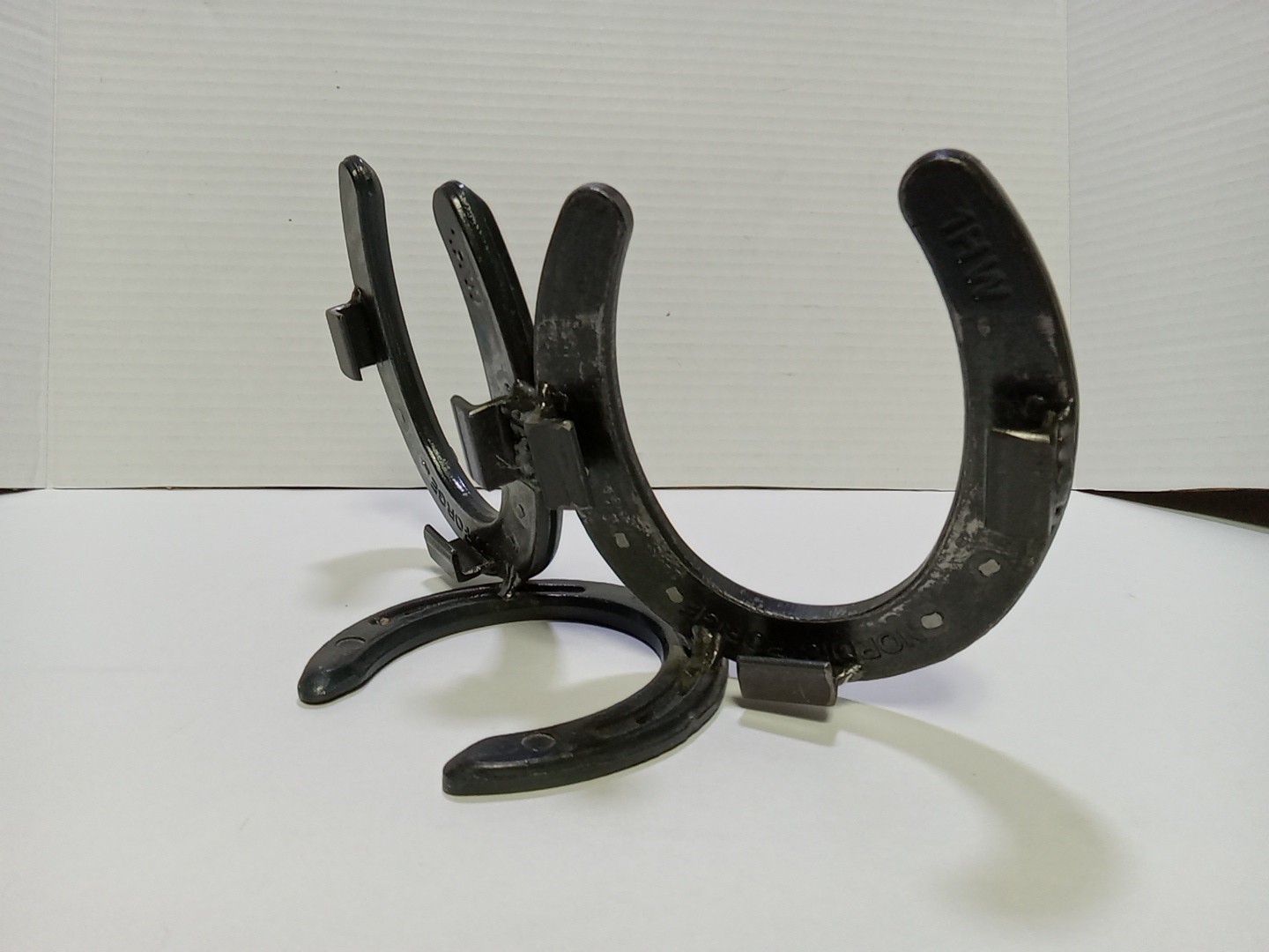 Nordic Forge Custom Made Picture Frame Real Horse Shoes & Nails Western Country