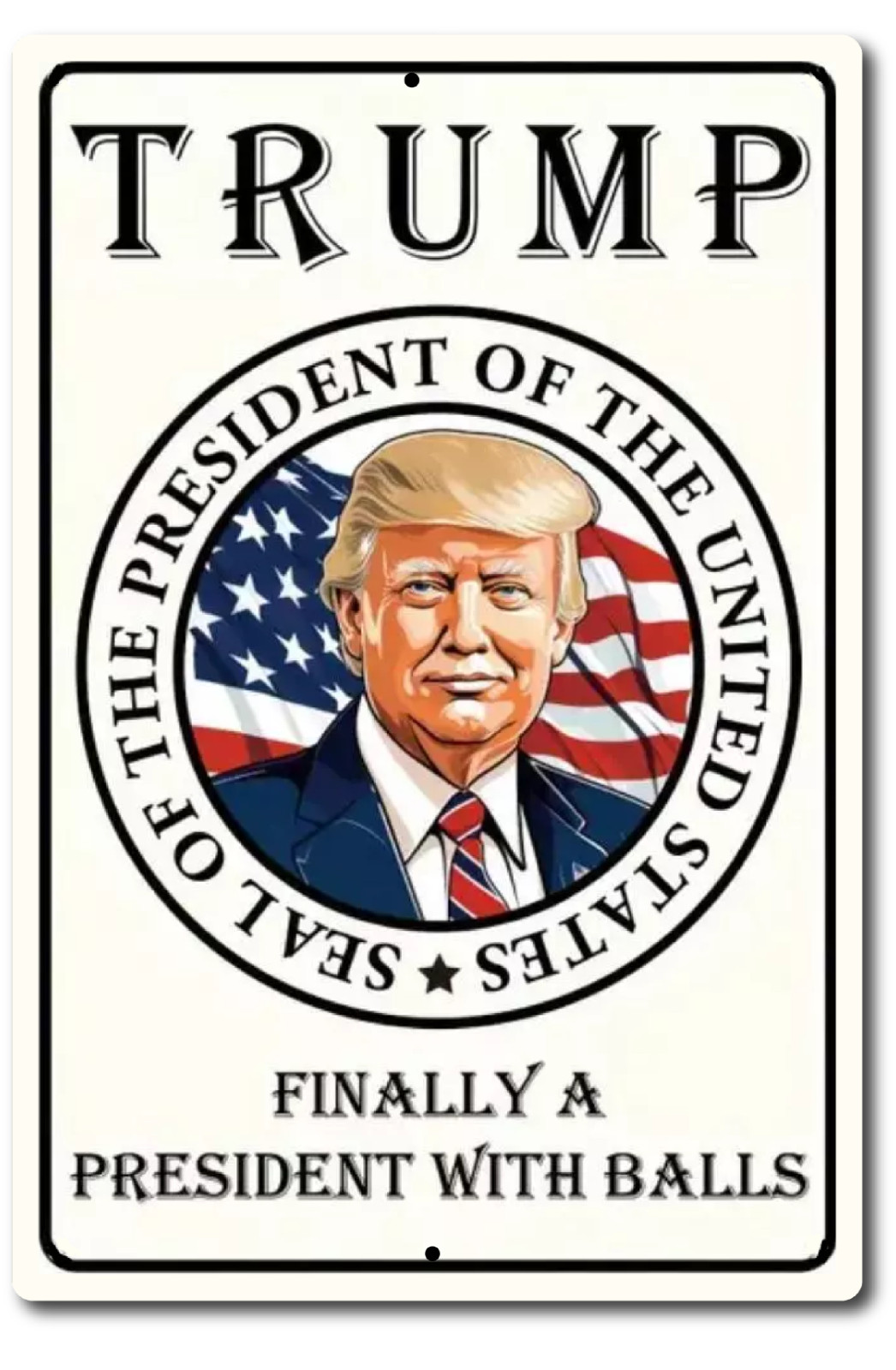 2024 Tin Metal Sign DONALD TRUMP TRUMP FINALLY A PRESIDENT WITH BALLS