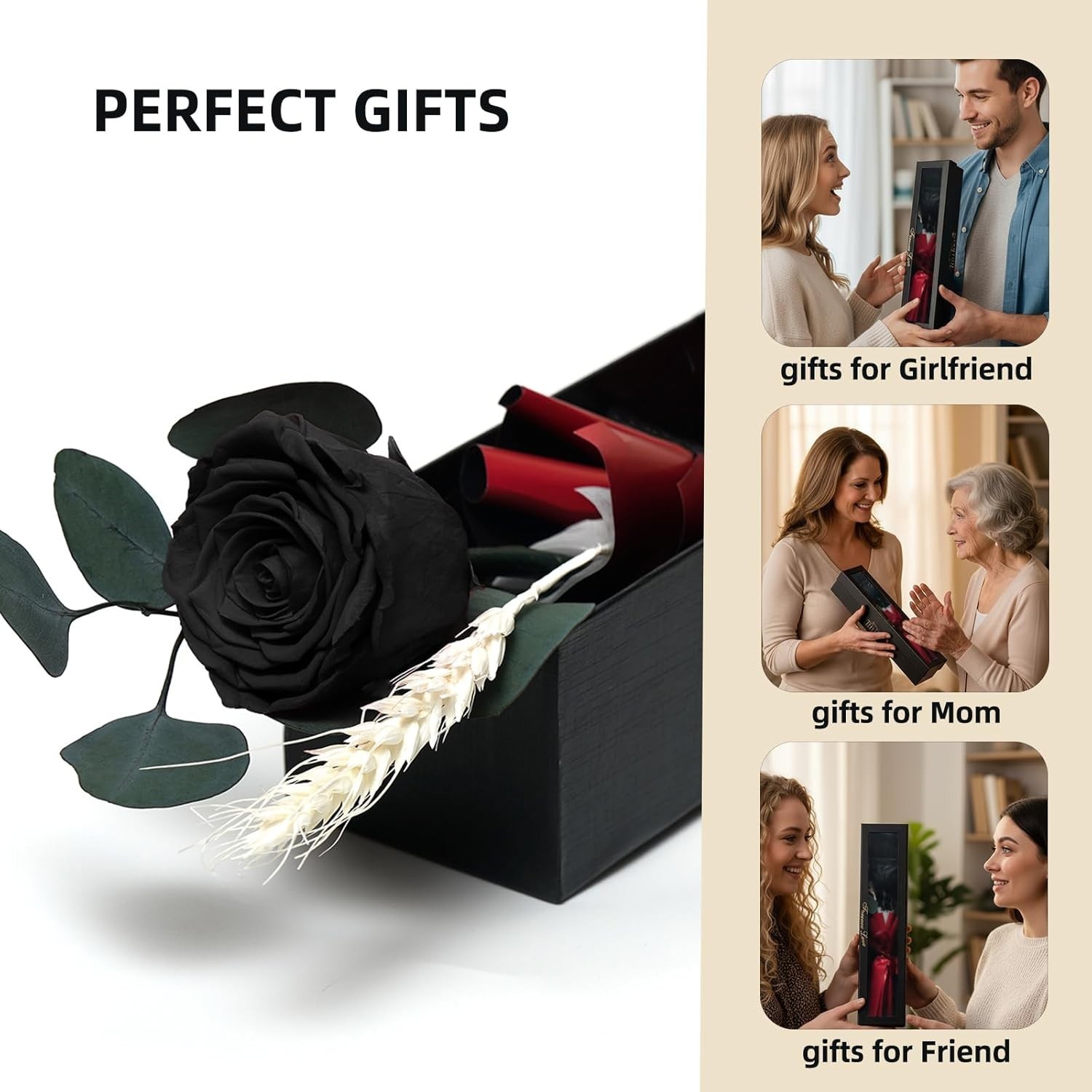 Forever Preserved Black Rose Birthday Gifts for Women,Eternal Flower Gifts for M
