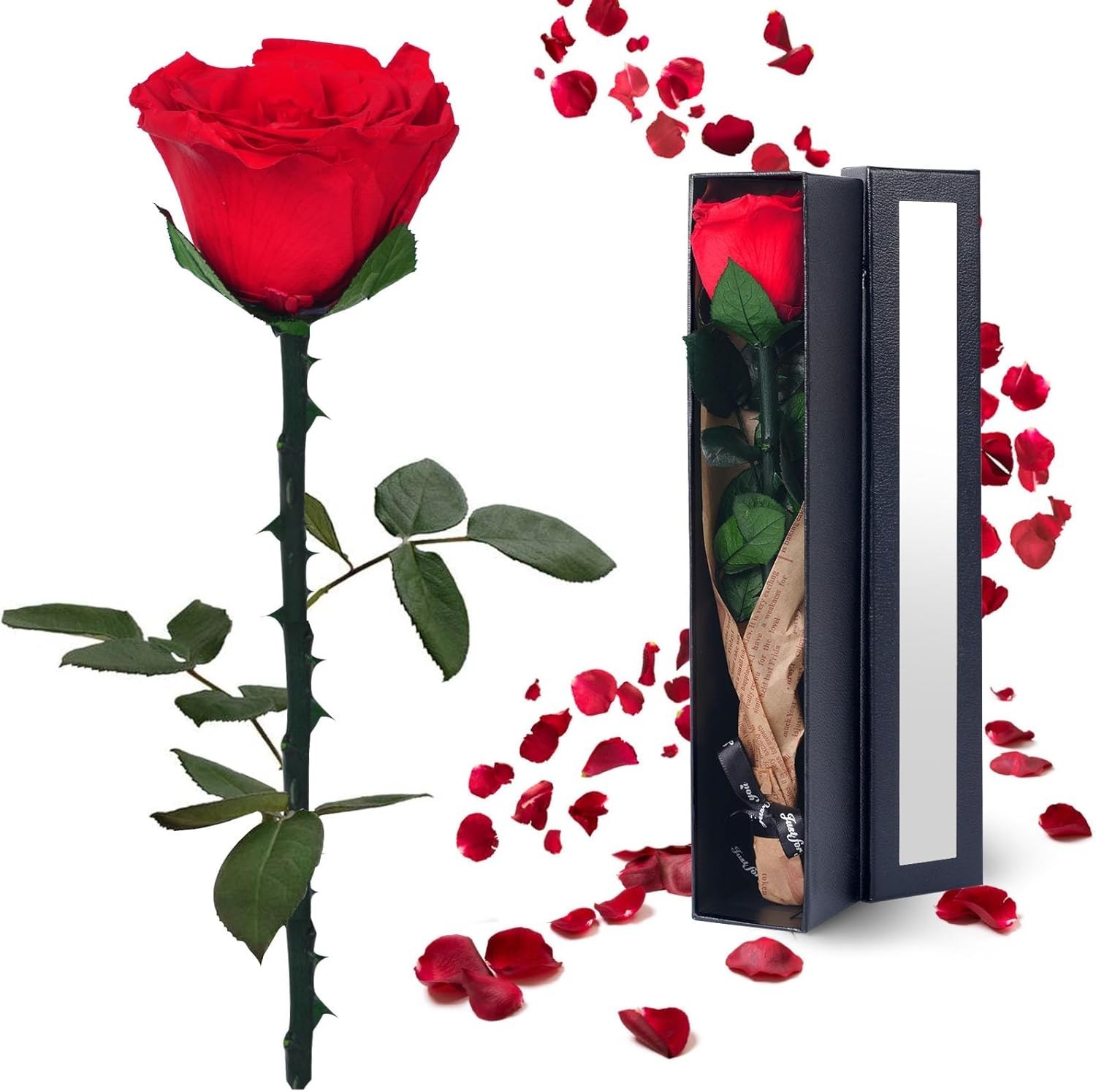 Black Preserved Roses for Delivery – Single Flower Gifts for Her