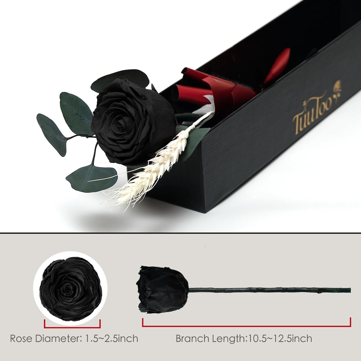 Forever Preserved Black Rose Birthday Gifts for Women,Eternal Flower Gifts for M