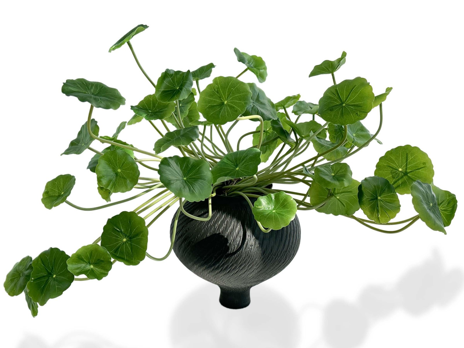 3pcs Small Fake Lotus Plants with Roofs and Leaves, Faux Greenery Stems for V…
