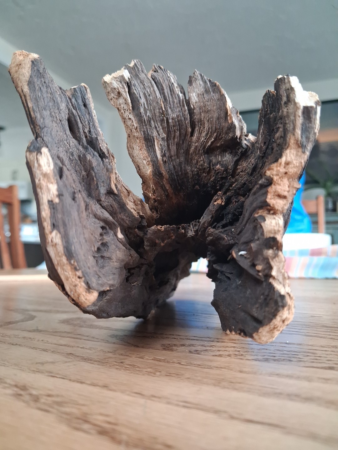 New England Northern Atlantic Natural Driftwood Apprx 12″x5″x4″ Hard Wood Decor