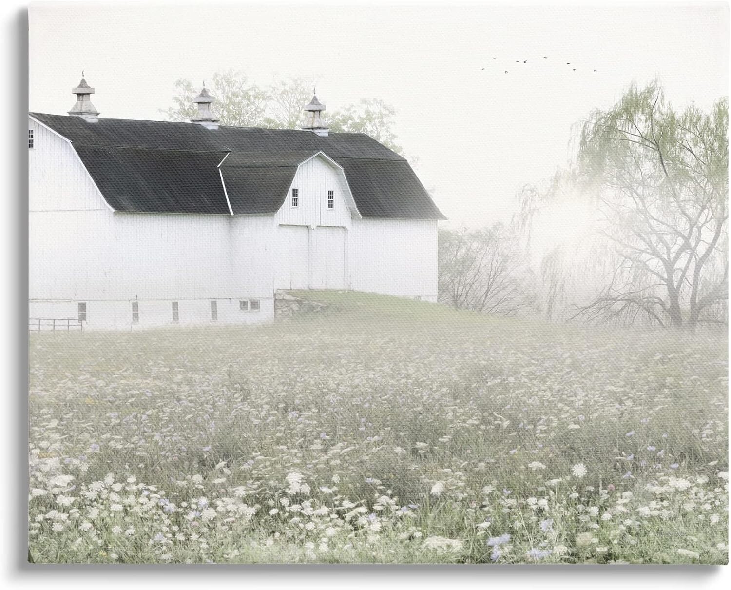 Peaceful White Barn Countryside Meadow Blooming Buds Canvas