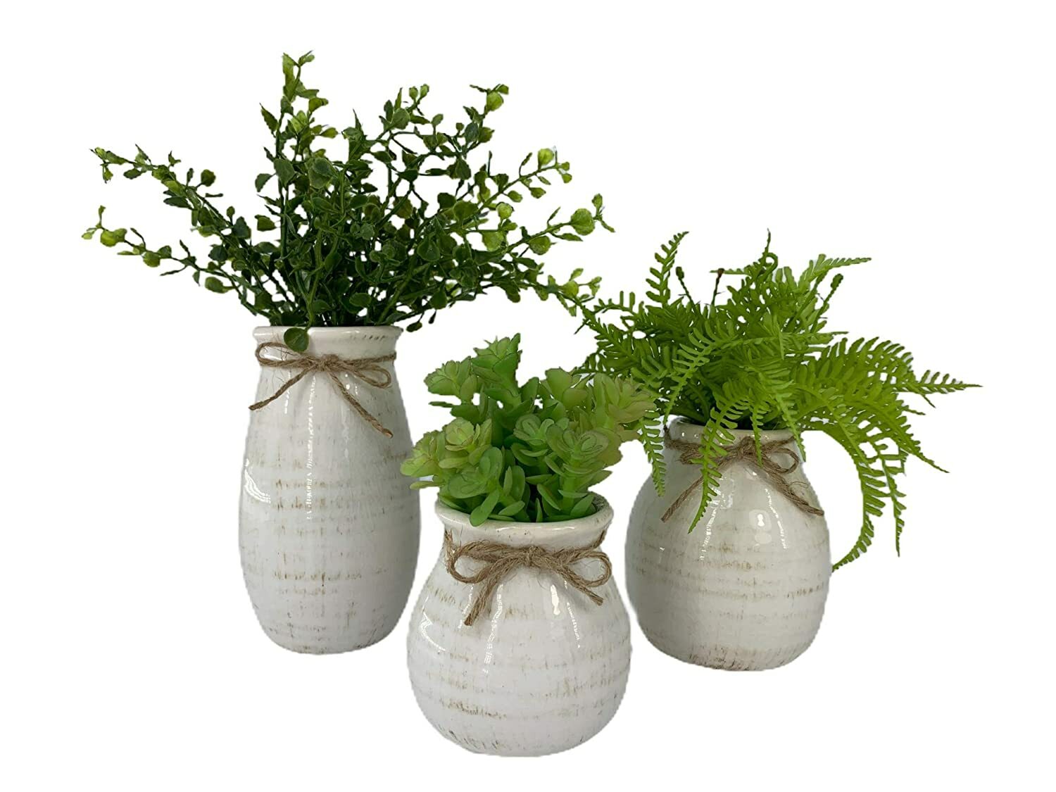Cream Ceramic Vase with Small Succulent, Medium Fern, or Large Baby Grass