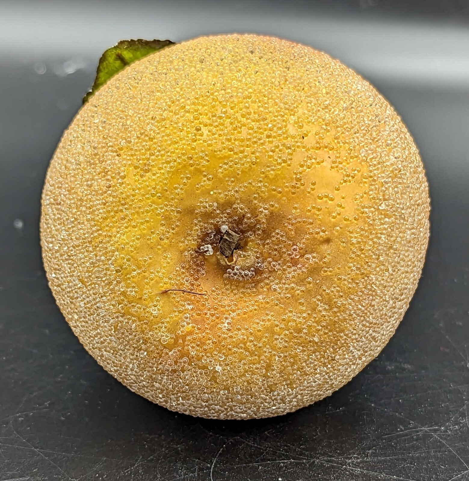 Beaded Sugared Artificial Fruit Pear and Peach