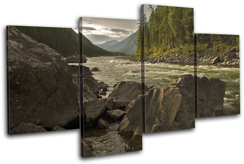 River Forest Rocks Landscapes MULTI CANVAS WALL ART Picture Print