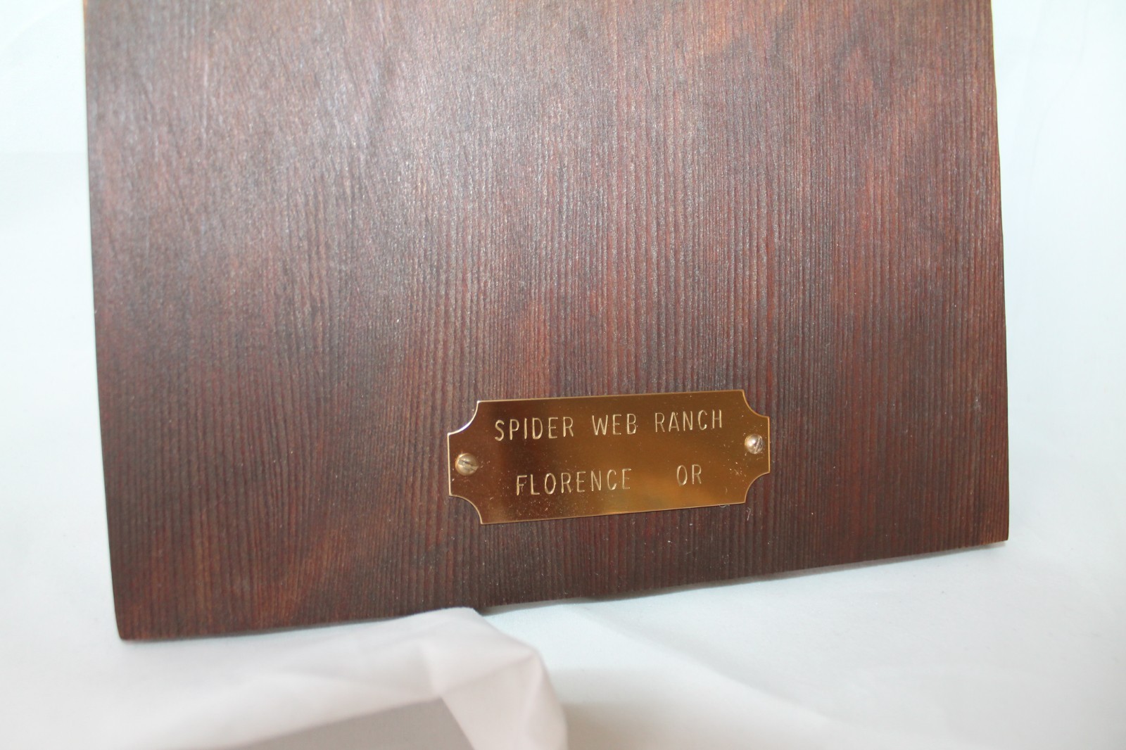 Unique Plaque with Actual Spiderweb Captured on Wood – Spider Web Ranch