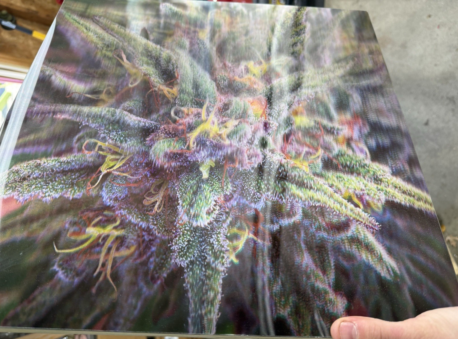 Multicolor Vertical Cannabis Botanical Art Print for Any Room