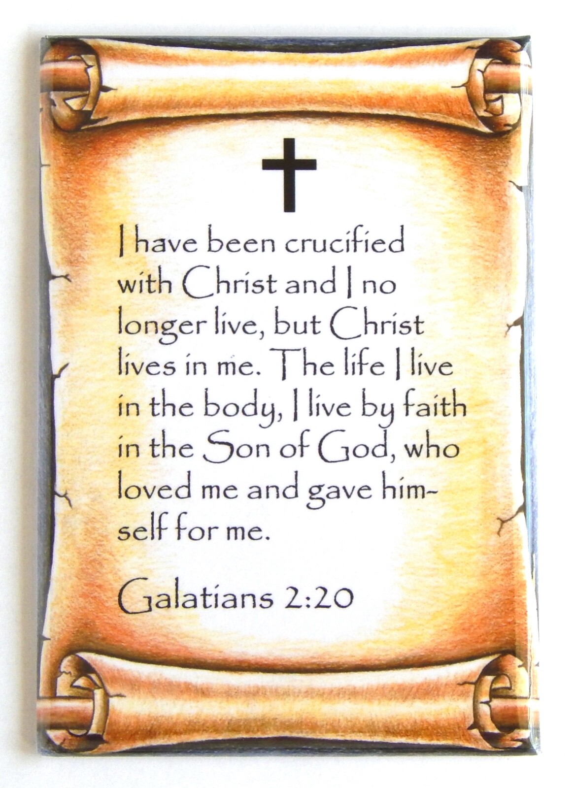 Galatians 2:20 Bible Verse FRIDGE MAGNET christian catholic