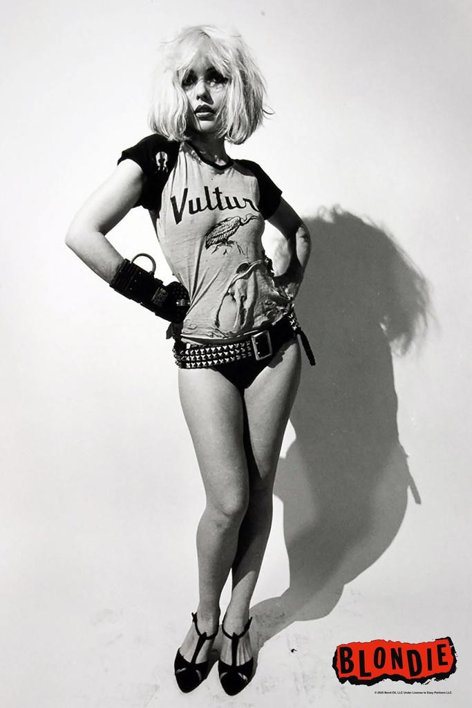 Blondie Poster Vultures Punk Rock Debbie Harry Cool Wall Art Print Poster 16×24