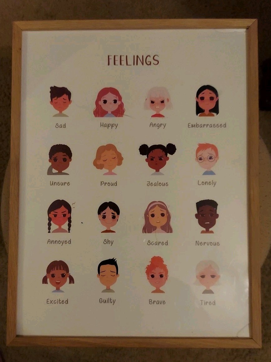 Feelings Poster – Decor – 16.5 X 12.5 – Framed: SEE PICTURES!!