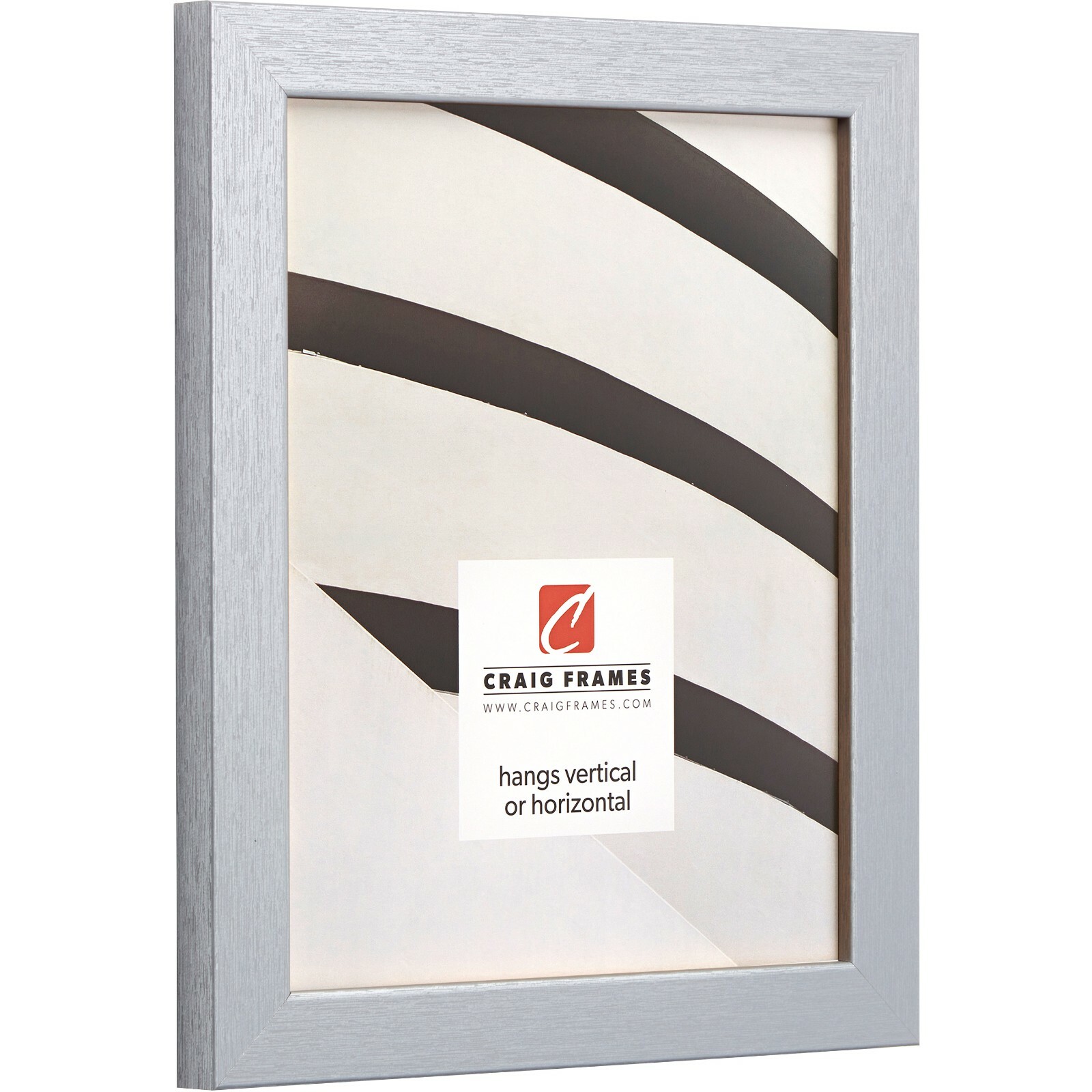 Craig Frames Essentials, 1 Inch Wide Modern Brushed Silver Picture Frame