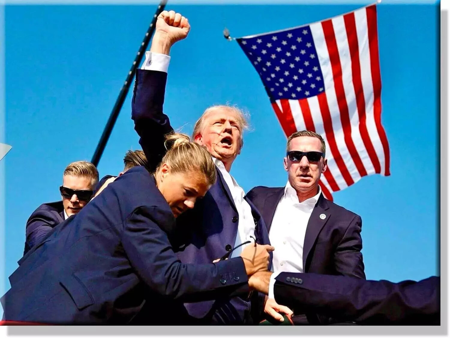 11″ x 14″ Canvas Picture of Donald Trump Assassination Attempt Fight Wall Art