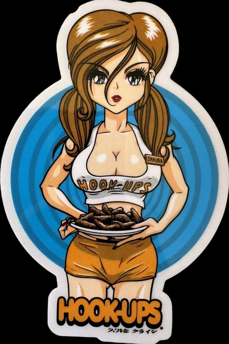 Hookups Die Cut Stickers 3″ Vertical Gloss Skateboard Water Bottle Laptop Etc