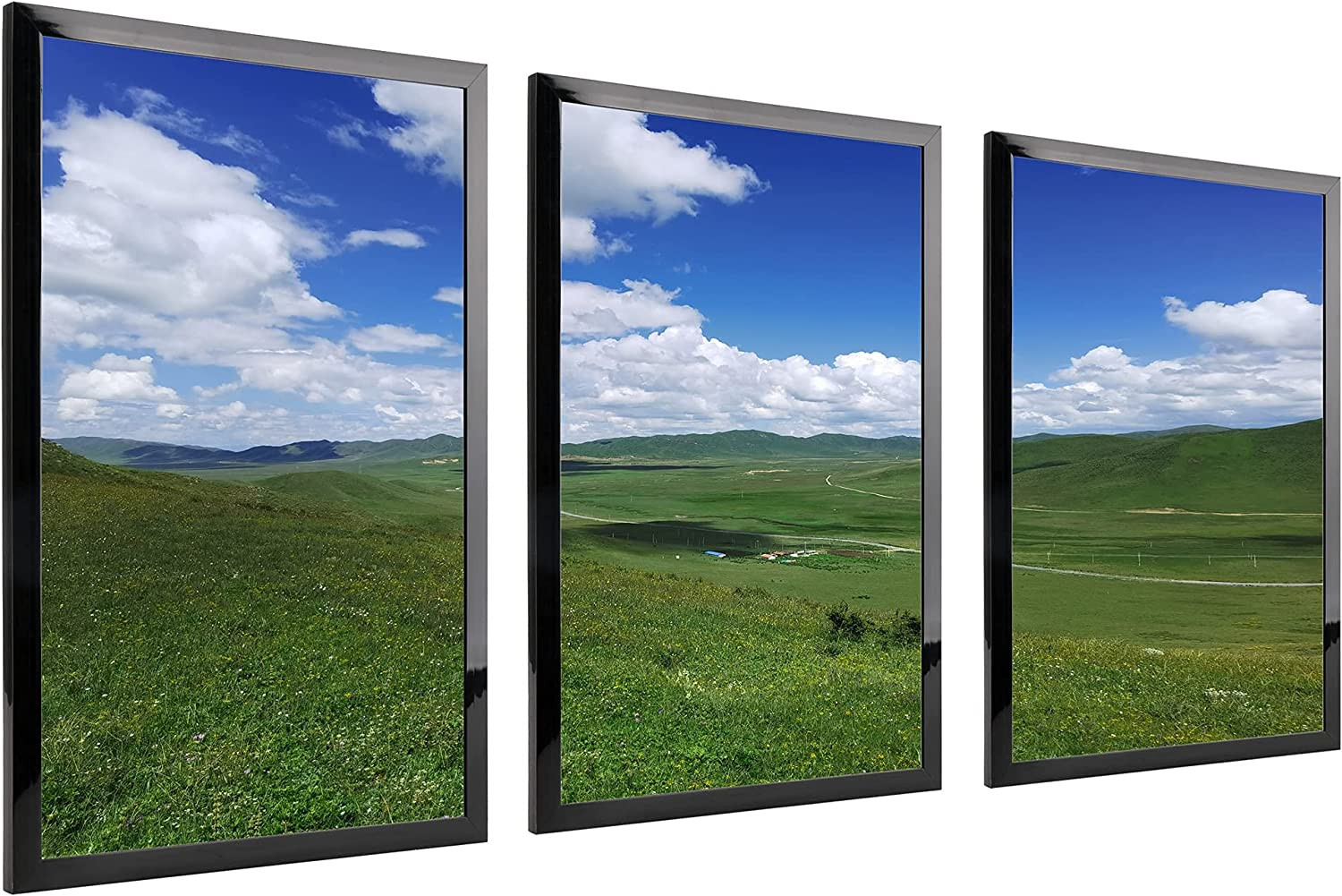 Medog Picture Frame 10X12 Inch Photo Frame Black 10 by 12-Inch Black Picture Pos