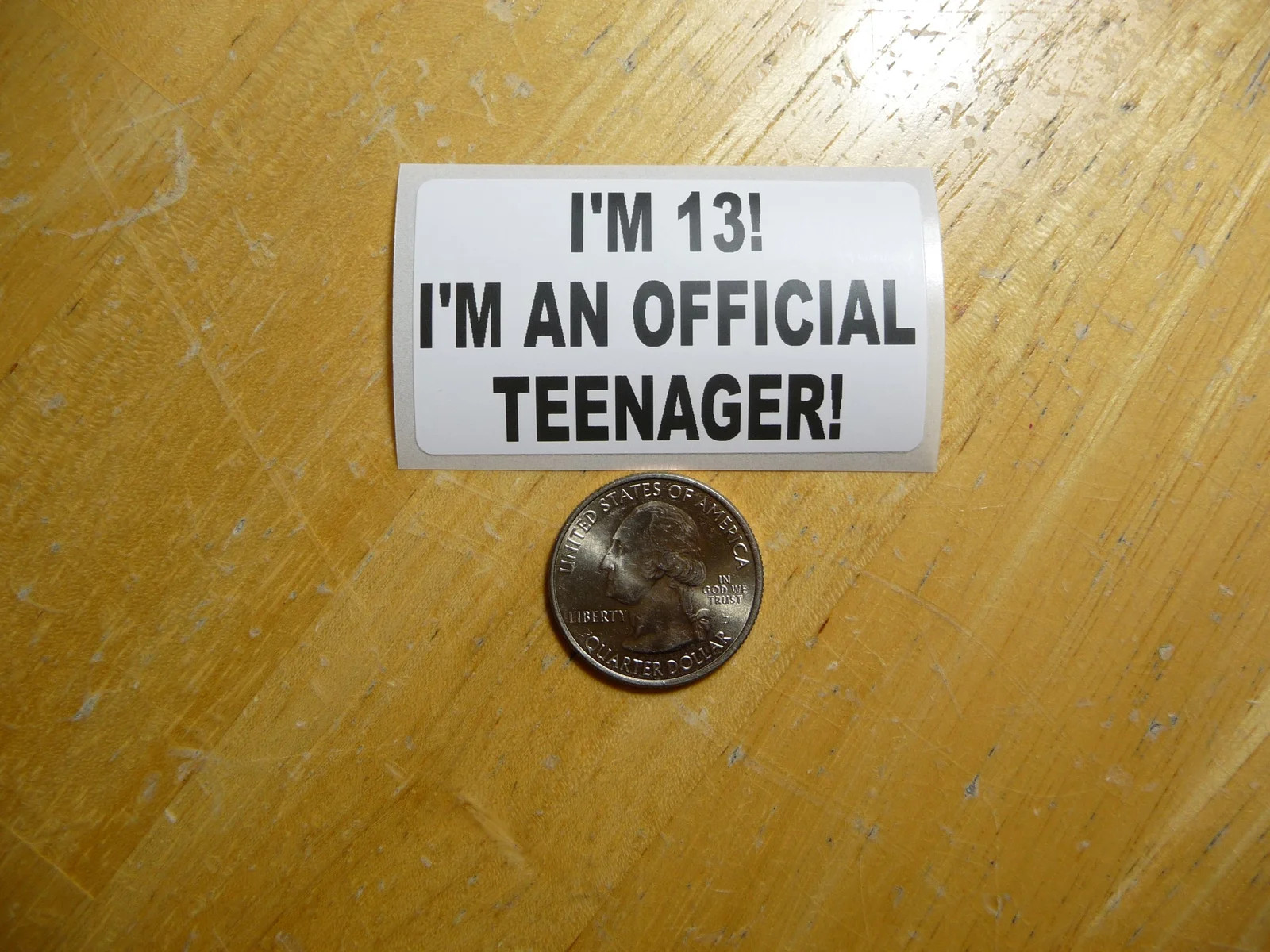 I’M 13 AN OFFICIAL TEENAGER STICKER DECAL 1 – 50 BULK PACK FUNNY TEEN