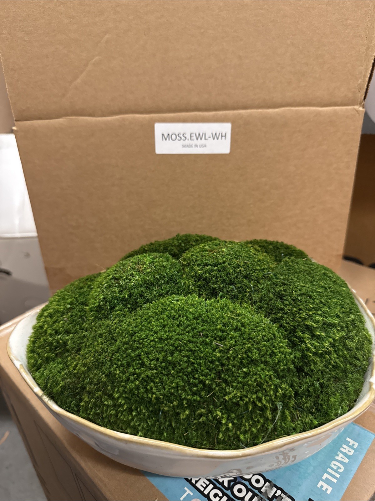 Diane James Home – MOSSY MOOD $410