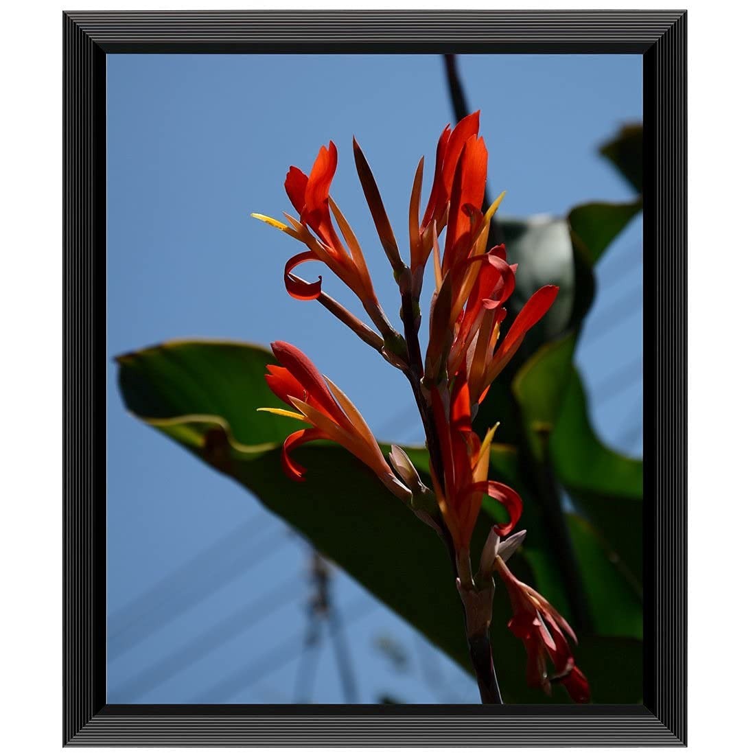 Uzifa 10×12 Picture Frame, Black Engineered Wood Photo Frame for Wall Display