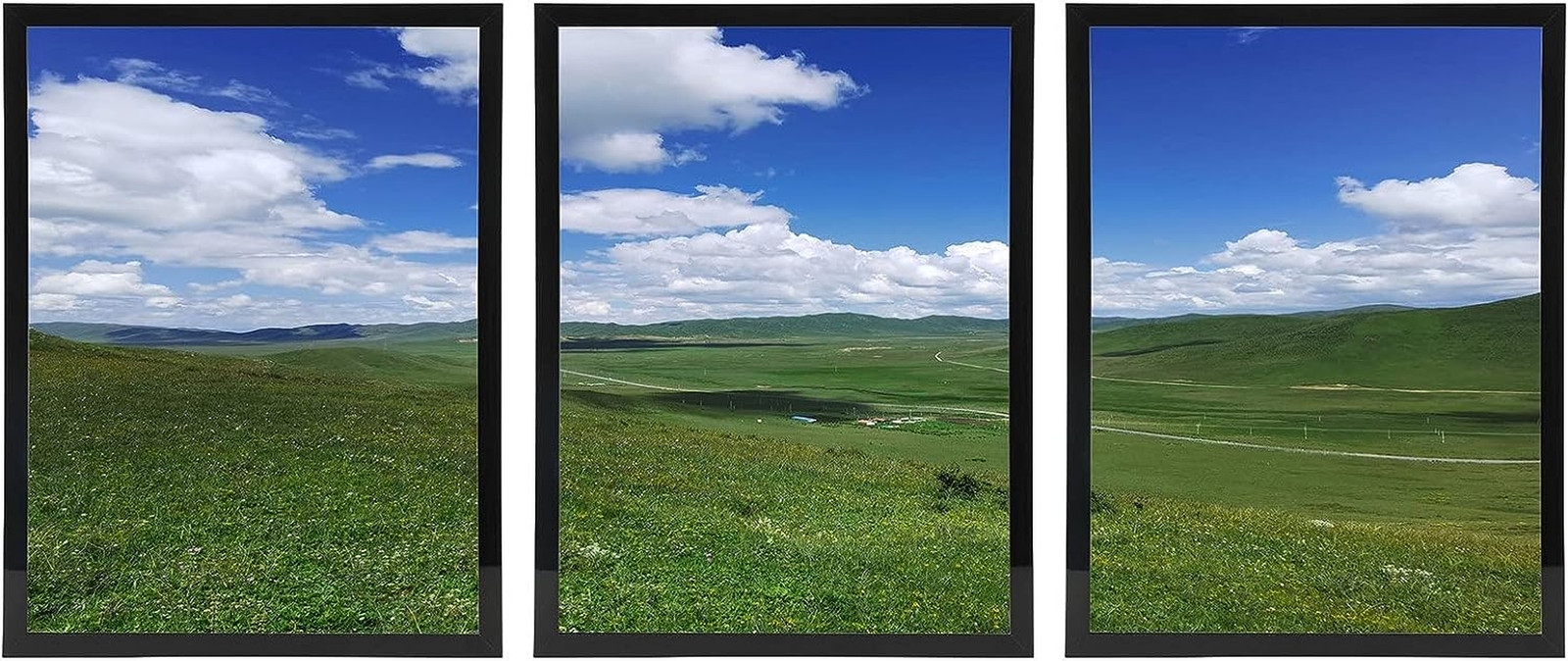 Medog Picture Frame 10X12 Inch Photo Frame Black 10 by 12-Inch Black Picture Pos