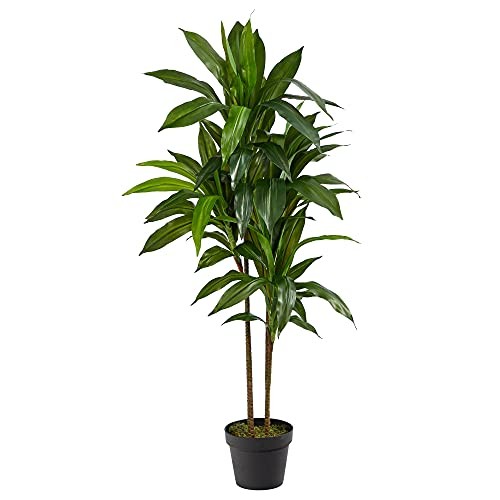 48in Artificial Dracaena with Real Touch Leaves and Multi Tonal Trunks, Green