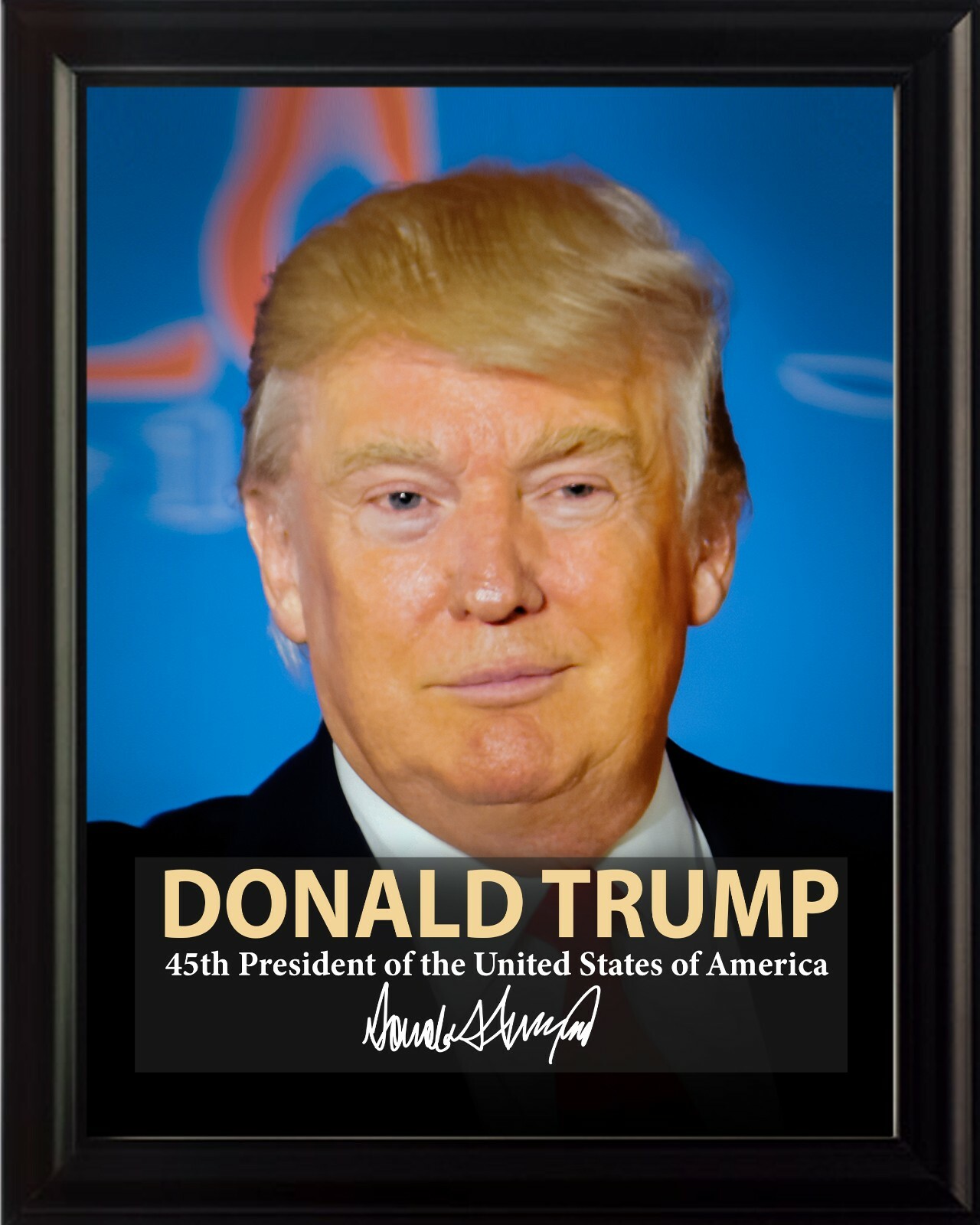 Donald Trump 45th President Poster Picture or Framed Wall Art